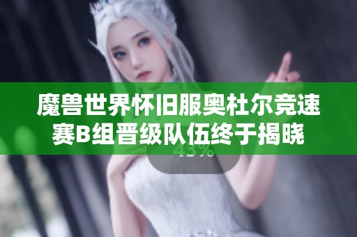 魔兽世界怀旧服奥杜尔竞速赛B组晋级队伍终于揭晓