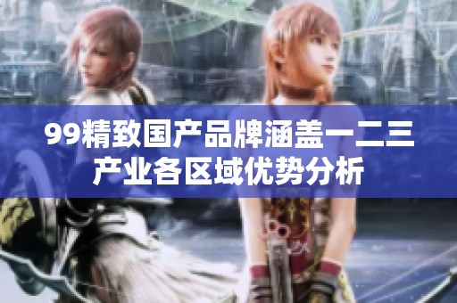 99精致国产品牌涵盖一二三产业各区域优势分析