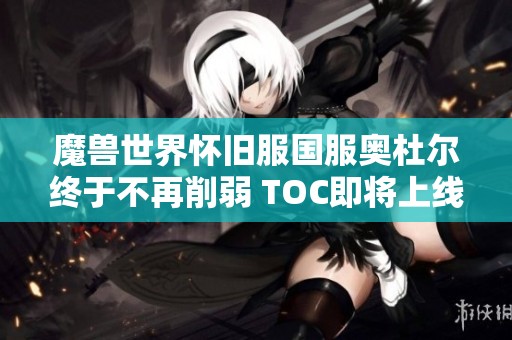 魔兽世界怀旧服国服奥杜尔终于不再削弱 TOC即将上线引发期待