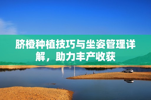 脐橙种植技巧与坐姿管理详解，助力丰产收获