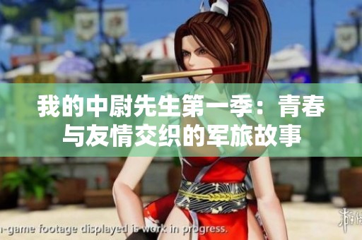 我的中尉先生第一季：青春与友情交织的军旅故事