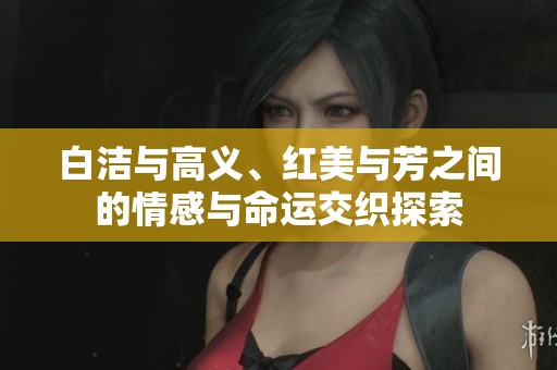 白洁与高义、红美与芳之间的情感与命运交织探索