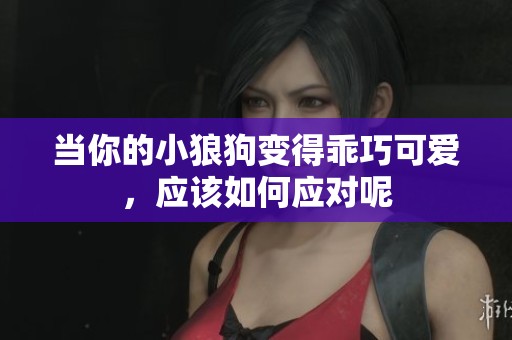 当你的小狼狗变得乖巧可爱，应该如何应对呢