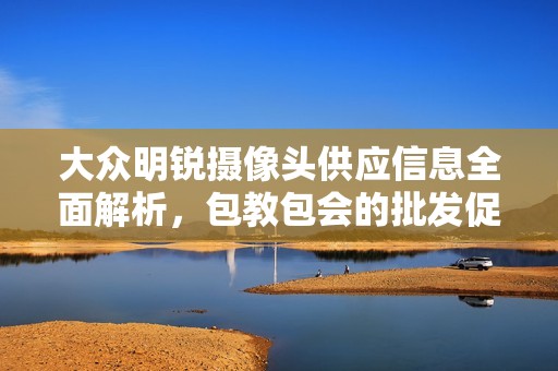 大众明锐摄像头供应信息全面解析，包教包会的批发促销价格及产地来源介绍