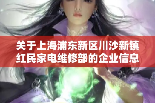关于上海浦东新区川沙新镇红民家电维修部的企业信息查询与分析