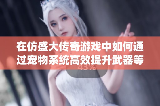 在仿盛大传奇游戏中如何通过宠物系统高效提升武器等级的详细攻略解析