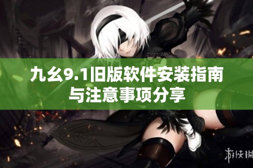 九幺9.1旧版软件安装指南与注意事项分享