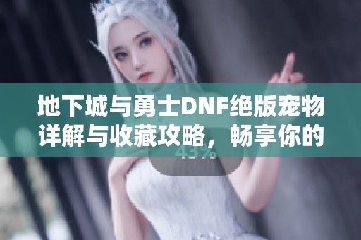 地下城与勇士DNF绝版宠物详解与收藏攻略，畅享你的游戏冒险之旅