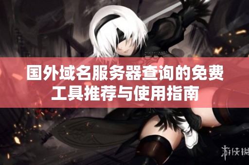 国外域名服务器查询的免费工具推荐与使用指南