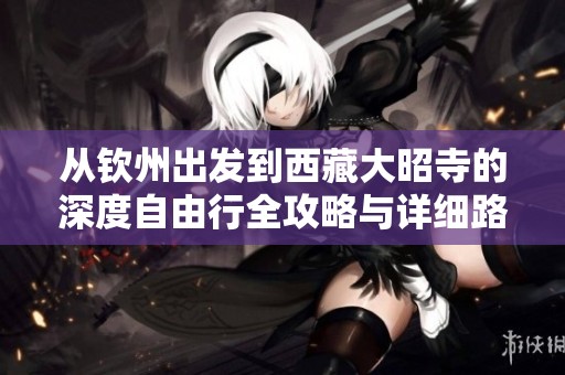 从钦州出发到西藏大昭寺的深度自由行全攻略与详细路线推荐