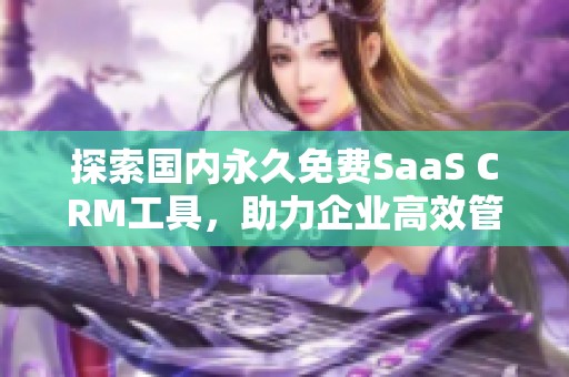 探索国内永久免费SaaS CRM工具，助力企业高效管理客户关系