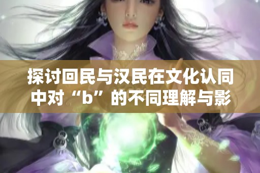探讨回民与汉民在文化认同中对“b”的不同理解与影响