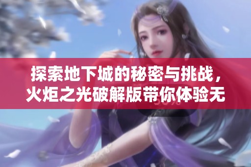 探索地下城的秘密与挑战，火炬之光破解版带你体验无与伦比的策略与冒险旅程