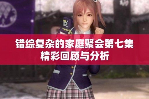 错综复杂的家庭聚会第七集精彩回顾与分析