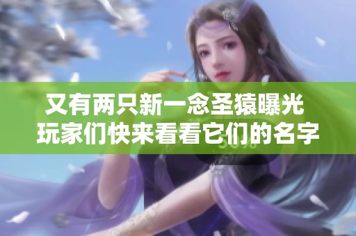 又有两只新一念圣猿曝光 玩家们快来看看它们的名字和特性吧