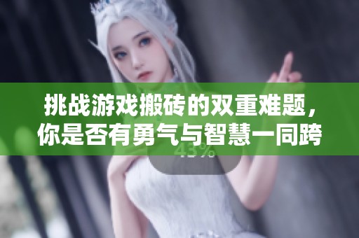 挑战游戏搬砖的双重难题，你是否有勇气与智慧一同跨越这些障碍呢