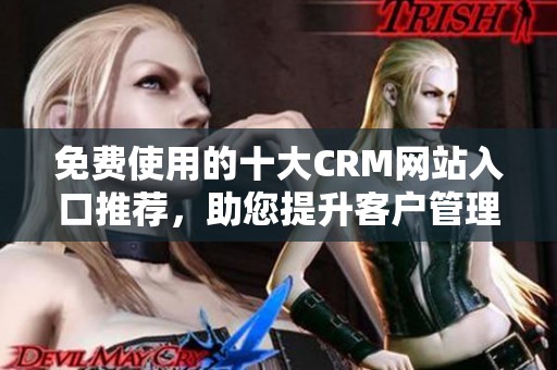 免费使用的十大CRM网站入口推荐，助您提升客户管理效率