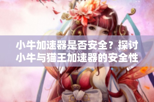 小牛加速器是否安全？探讨小牛与猫王加速器的安全性与木马风险分析