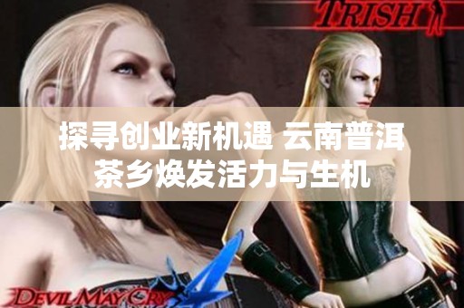探寻创业新机遇 云南普洱茶乡焕发活力与生机