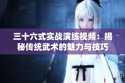 三十六式实战演练视频：揭秘传统武术的魅力与技巧