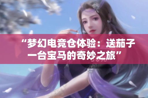 “梦幻电竞仓体验：送茄子一台宝马的奇妙之旅”