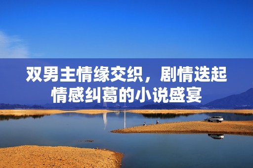 双男主情缘交织，剧情迭起情感纠葛的小说盛宴