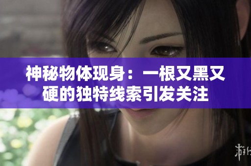 神秘物体现身：一根又黑又硬的独特线索引发关注
