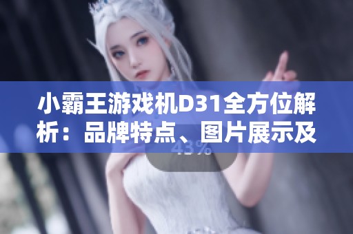 小霸王游戏机D31全方位解析：品牌特点、图片展示及市场排行榜介绍