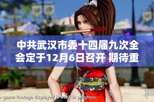 中共武汉市委十四届九次全会定于12月6日召开 期待重要决策出台