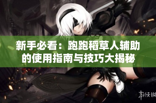 新手必看：跑跑稻草人辅助的使用指南与技巧大揭秘