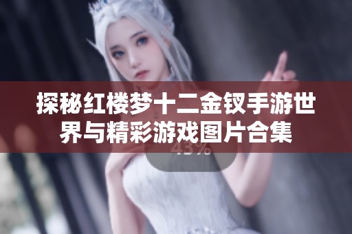 探秘红楼梦十二金钗手游世界与精彩游戏图片合集