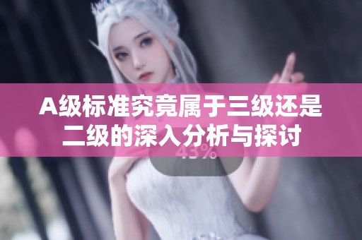A级标准究竟属于三级还是二级的深入分析与探讨