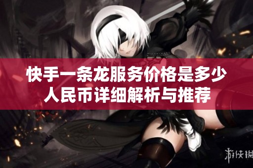快手一条龙服务价格是多少人民币详细解析与推荐