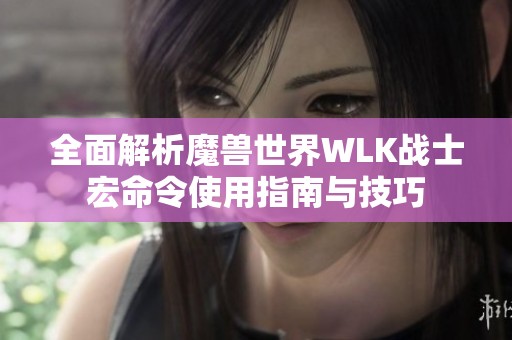 全面解析魔兽世界WLK战士宏命令使用指南与技巧