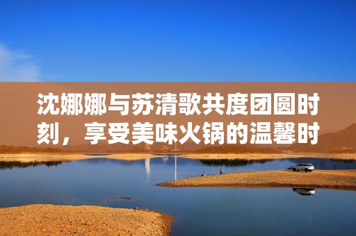 沈娜娜与苏清歌共度团圆时刻，享受美味火锅的温馨时光