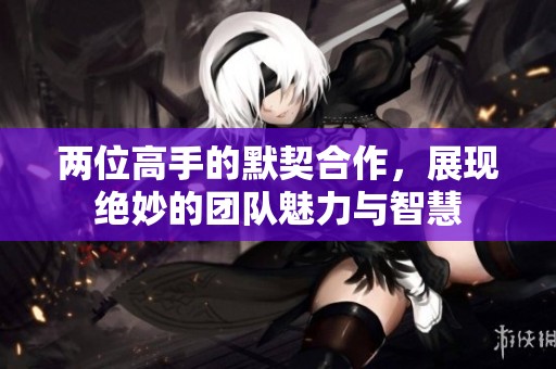 两位高手的默契合作，展现绝妙的团队魅力与智慧