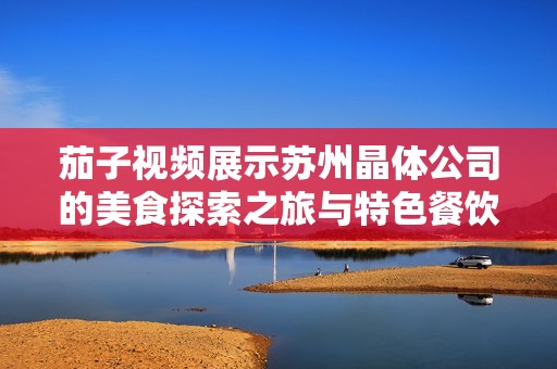 茄子视频展示苏州晶体公司的美食探索之旅与特色餐饮推荐