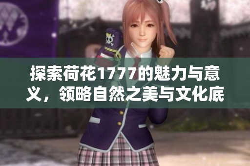 探索荷花1777的魅力与意义，领略自然之美与文化底蕴