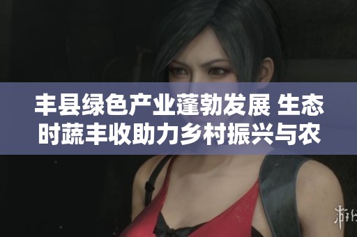 丰县绿色产业蓬勃发展 生态时蔬丰收助力乡村振兴与农民增收