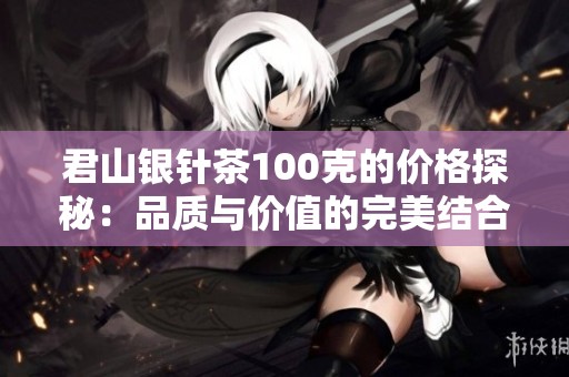 君山银针茶100克的价格探秘：品质与价值的完美结合每一口的享受