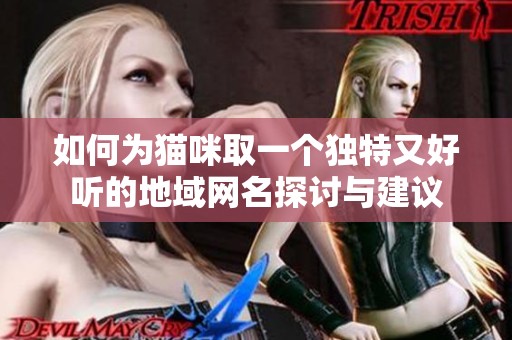 如何为猫咪取一个独特又好听的地域网名探讨与建议