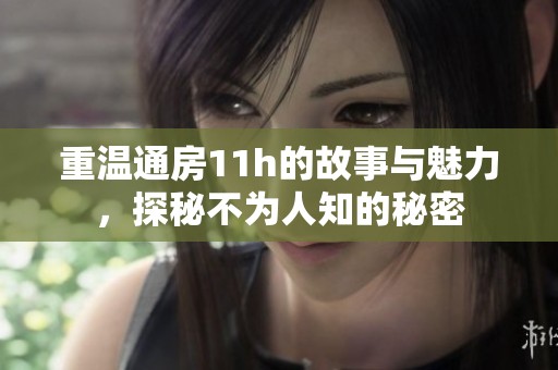 重温通房11h的故事与魅力，探秘不为人知的秘密