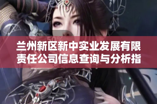 兰州新区新中实业发展有限责任公司信息查询与分析指南
