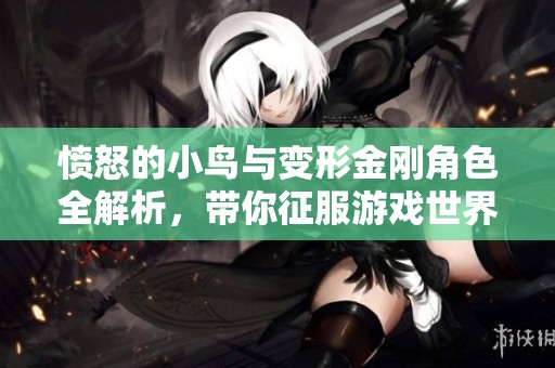 愤怒的小鸟与变形金刚角色全解析，带你征服游戏世界！