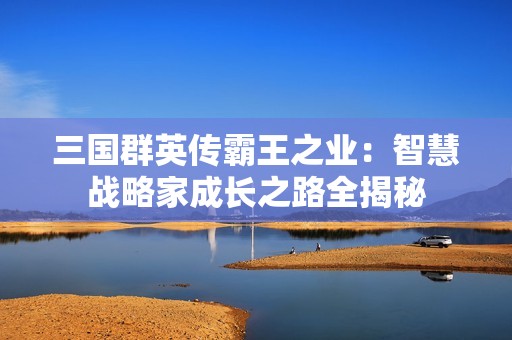 三国群英传霸王之业：智慧战略家成长之路全揭秘