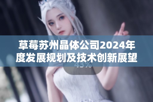 草莓苏州晶体公司2024年度发展规划及技术创新展望