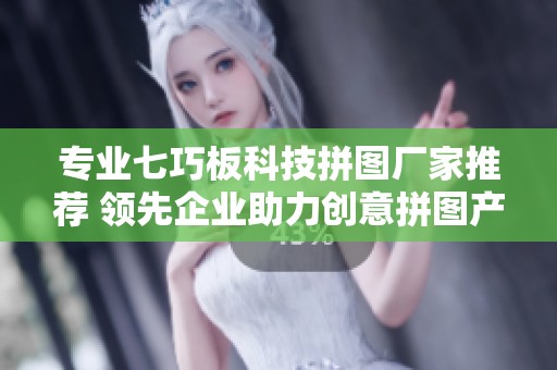 专业七巧板科技拼图厂家推荐 领先企业助力创意拼图产品创新