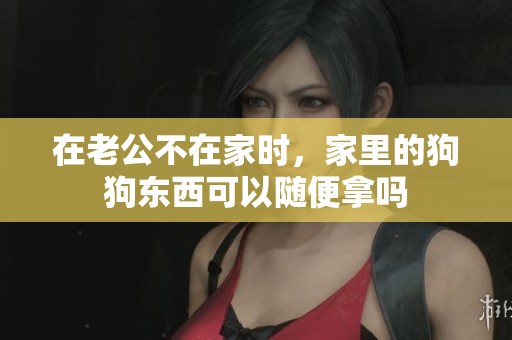 在老公不在家时，家里的狗狗东西可以随便拿吗