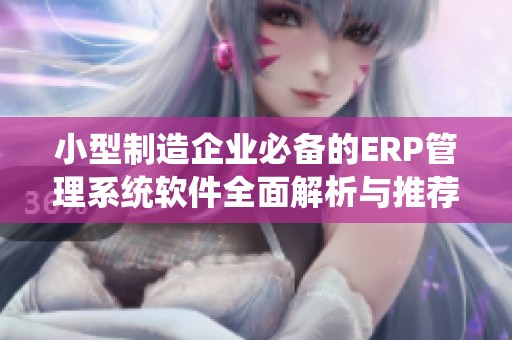 小型制造企业必备的ERP管理系统软件全面解析与推荐