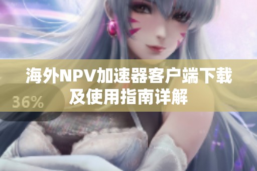 海外NPV加速器客户端下载及使用指南详解
